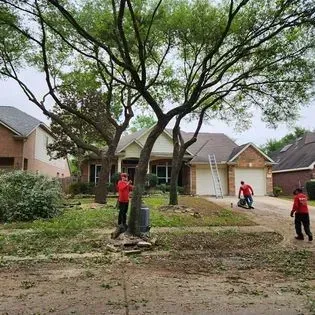 Three people in red shirts trimming trees in front of a house. Workers clearing debris in a suburban front yard with a large tree and house in the background
