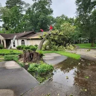 Uprooted tree blocking a wet driveway in front of a house after storm damage, with two workers on the fallen trunk