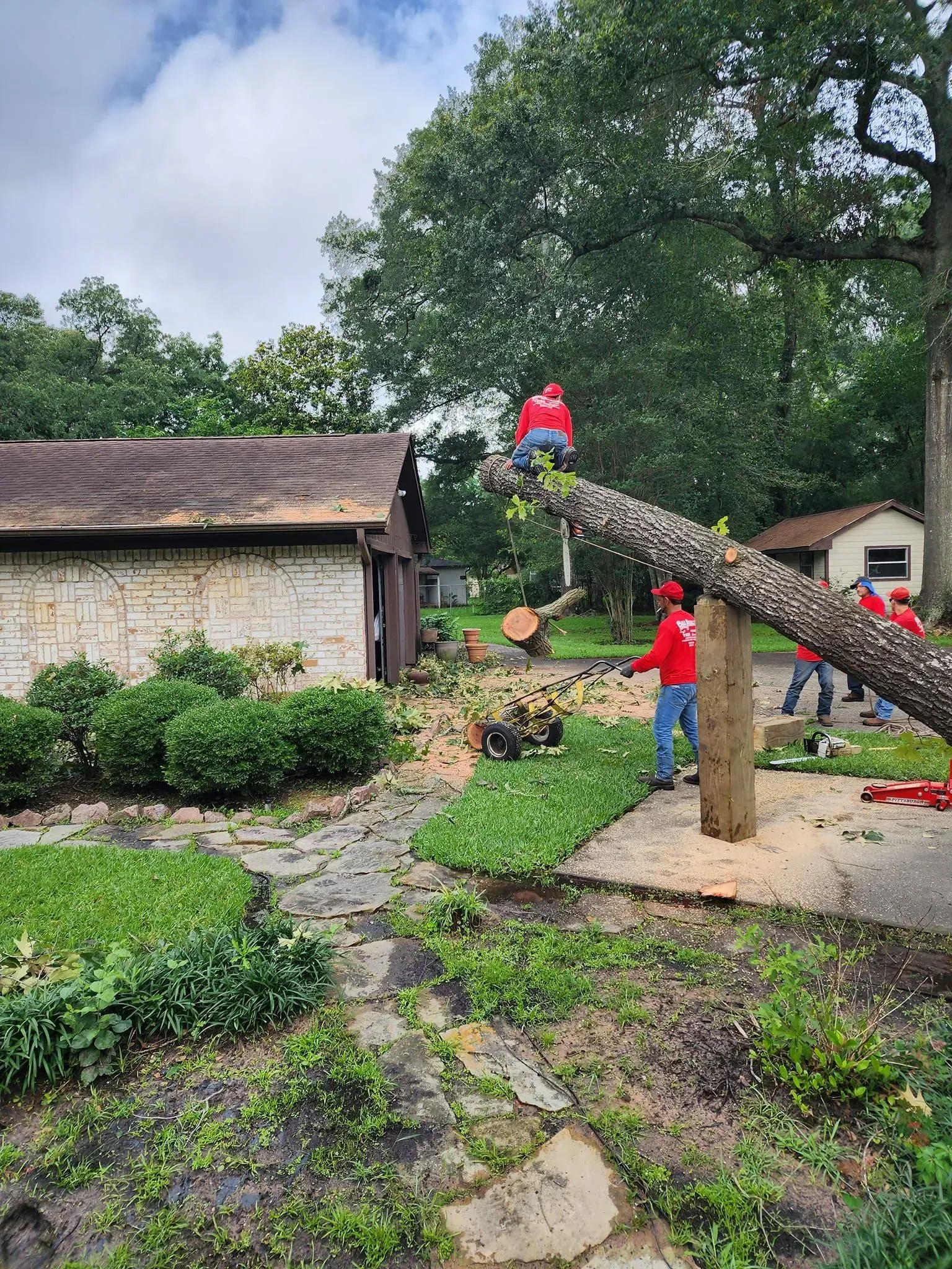 Person in red shirt cuts a fallen tree in a muddy yard beside a small house.