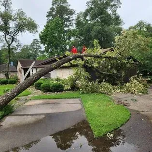 Uprooted tree fallen across a driveway and yard after a storm, with two workers on the trunk.