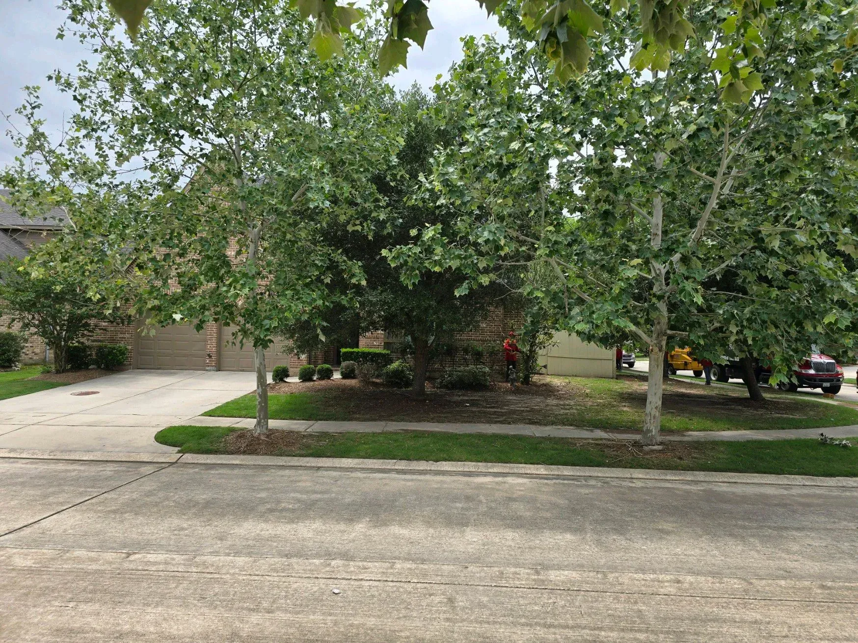 Tree-lined residential driveway and front yard with parked cars and brick house in the background