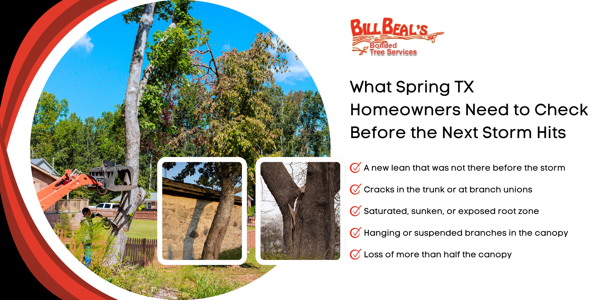 Untrimmed trees cost more than trimmed ones; fallen tree beside house with phone number and logo Tree damage and storm prep tips for homeowners, with fallen trees and a checklist on a white background