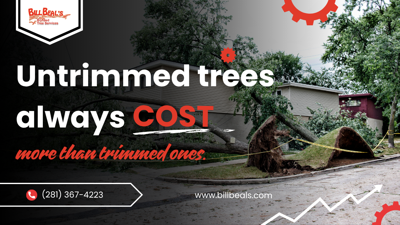 Untrimmed trees cost more than trimmed ones; fallen tree beside house with phone number and logo Untrimmed trees cost more than trimmed ones, with fallen limbs and a damaged yard