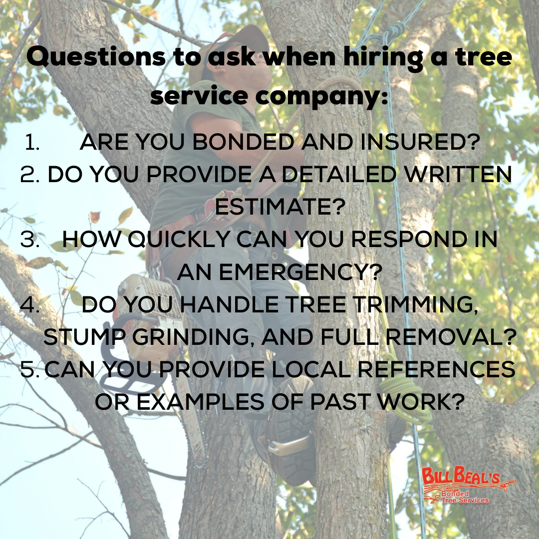 List of questions to ask when hiring a tree service company with a tree in the background. Tree service hiring checklist over a worker in a tree: insurance, written estimate, emergency response, trimming, references.
