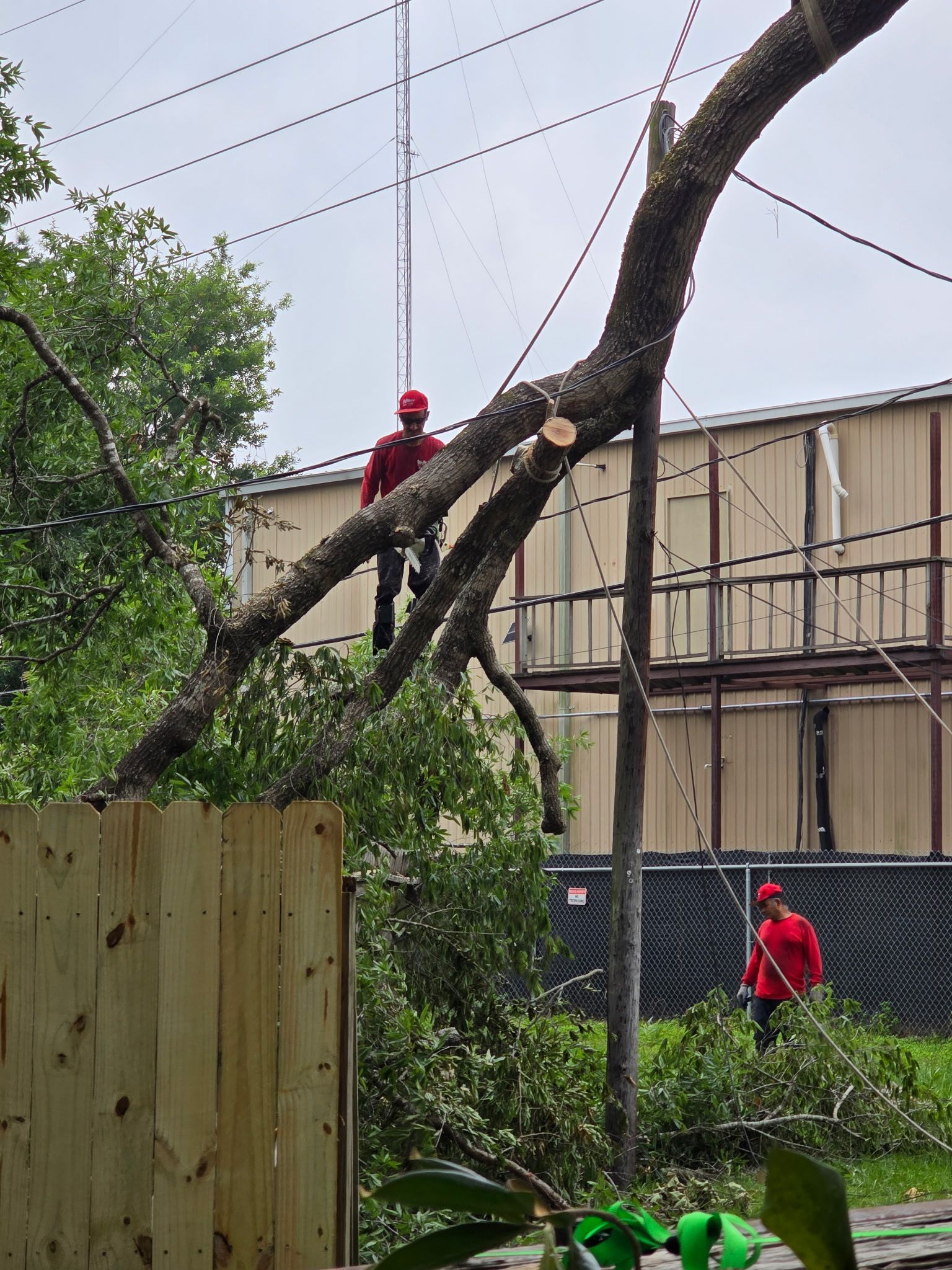 Worker in red helmet cutting a fallen tree limb in a backyard.