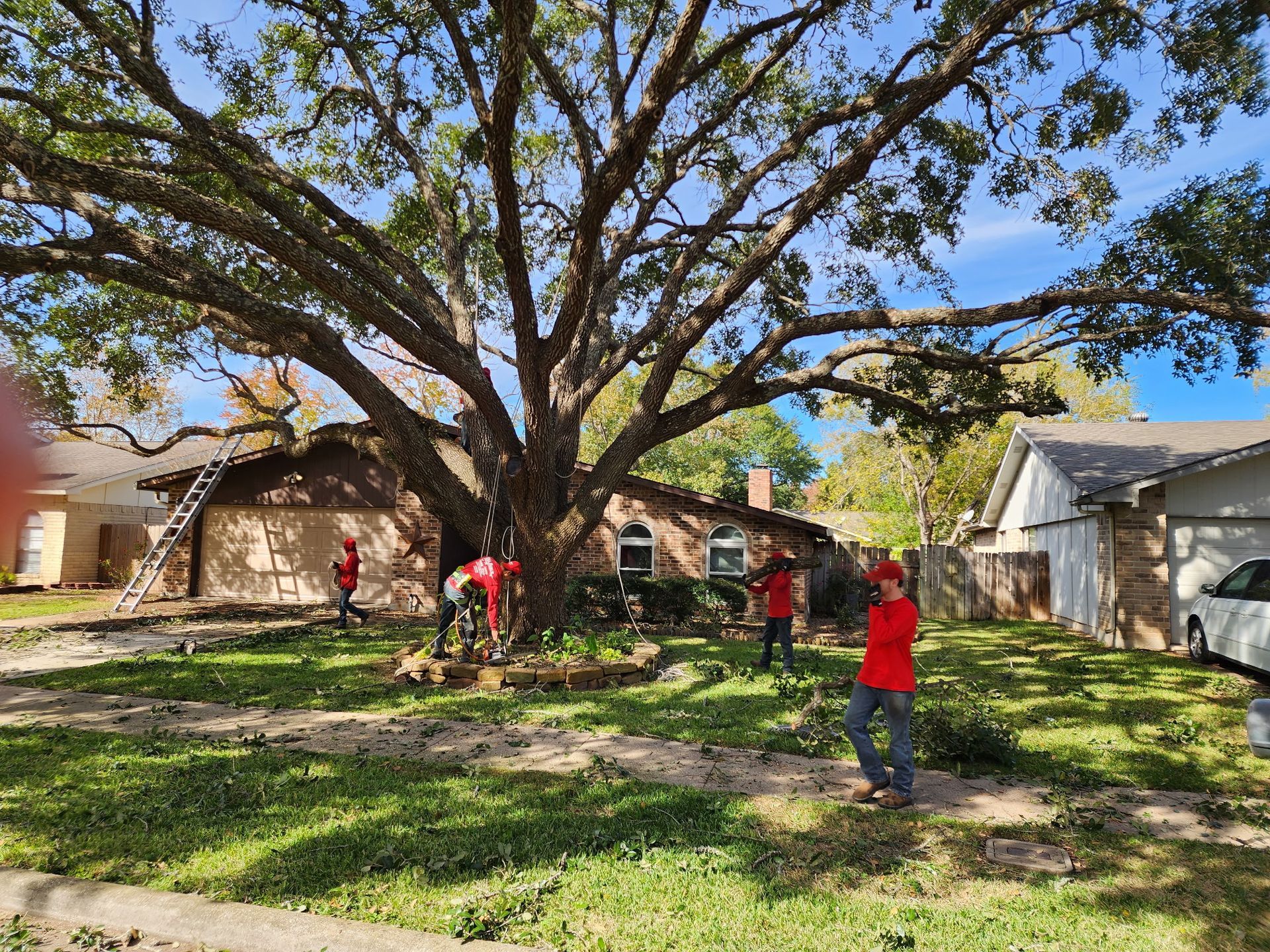 Children playing under a large tree in a sunny yard beside houses