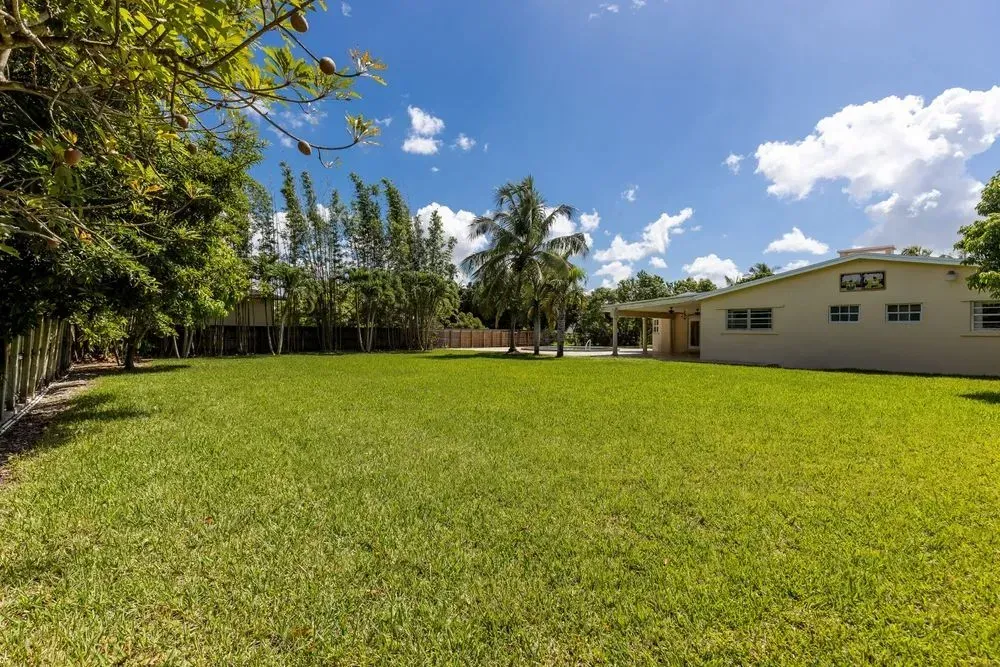 A large lush green field with a house in the background. Wide grassy yard with palm trees and a small white building under a bright blue sky