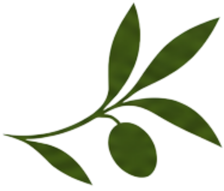Stylized green plant logo with leaves and an olive on a white background