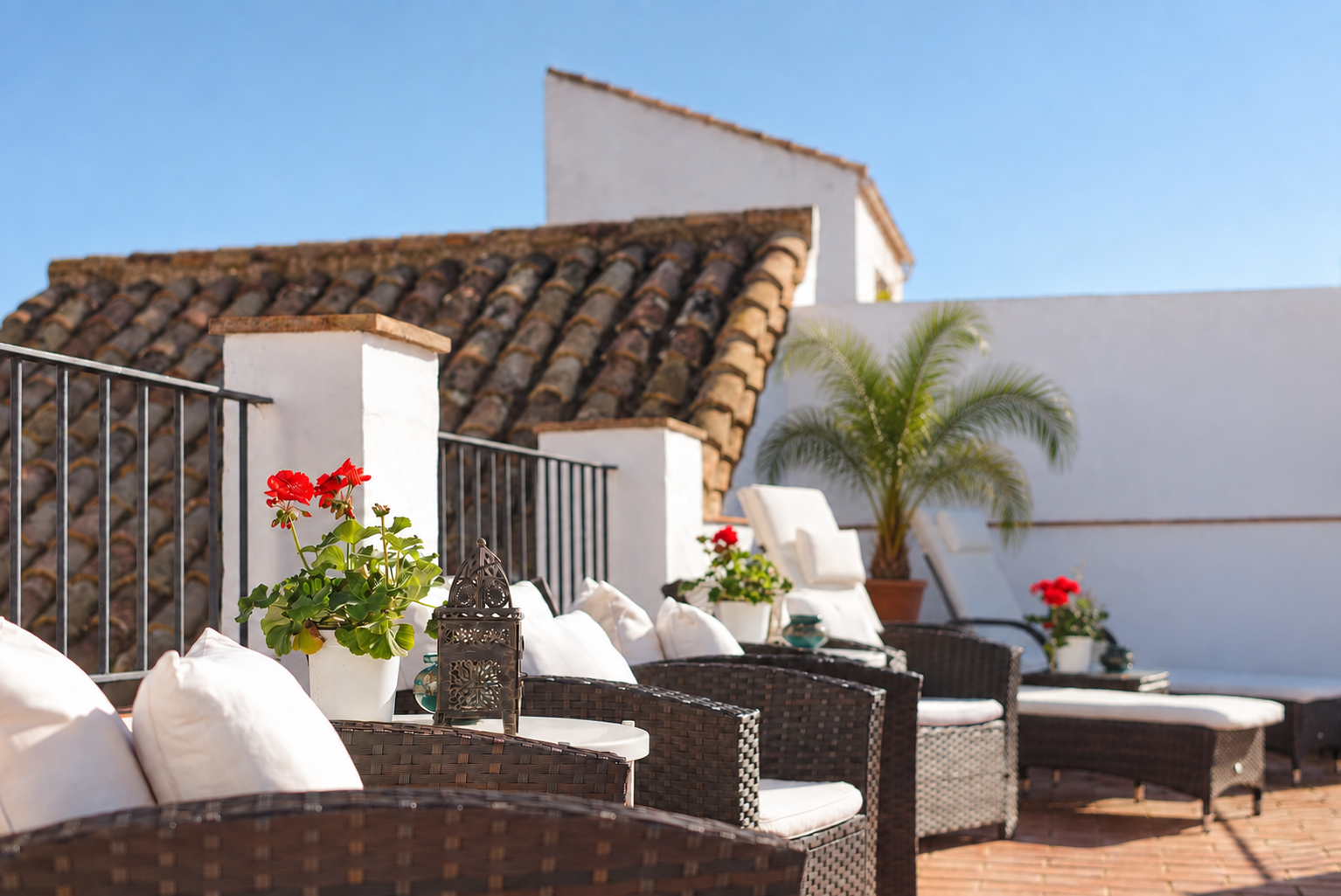 Rooftop patio with wicker lounge chairs, white cushions, red flowers, and a palm tree under a blue sky