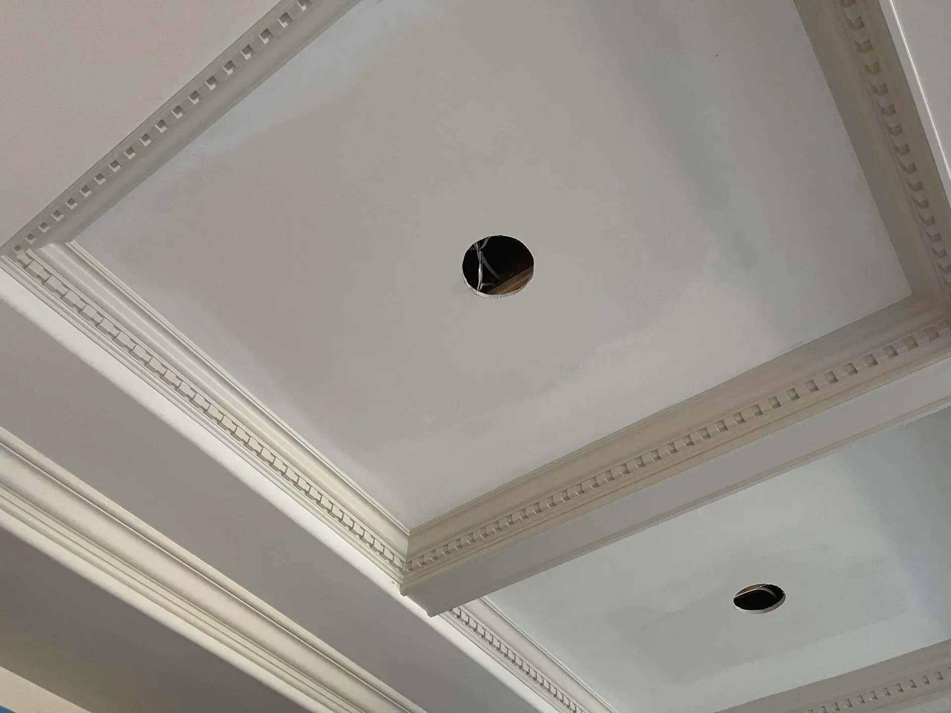 White coffered ceiling with ornate trim and two circular light openings