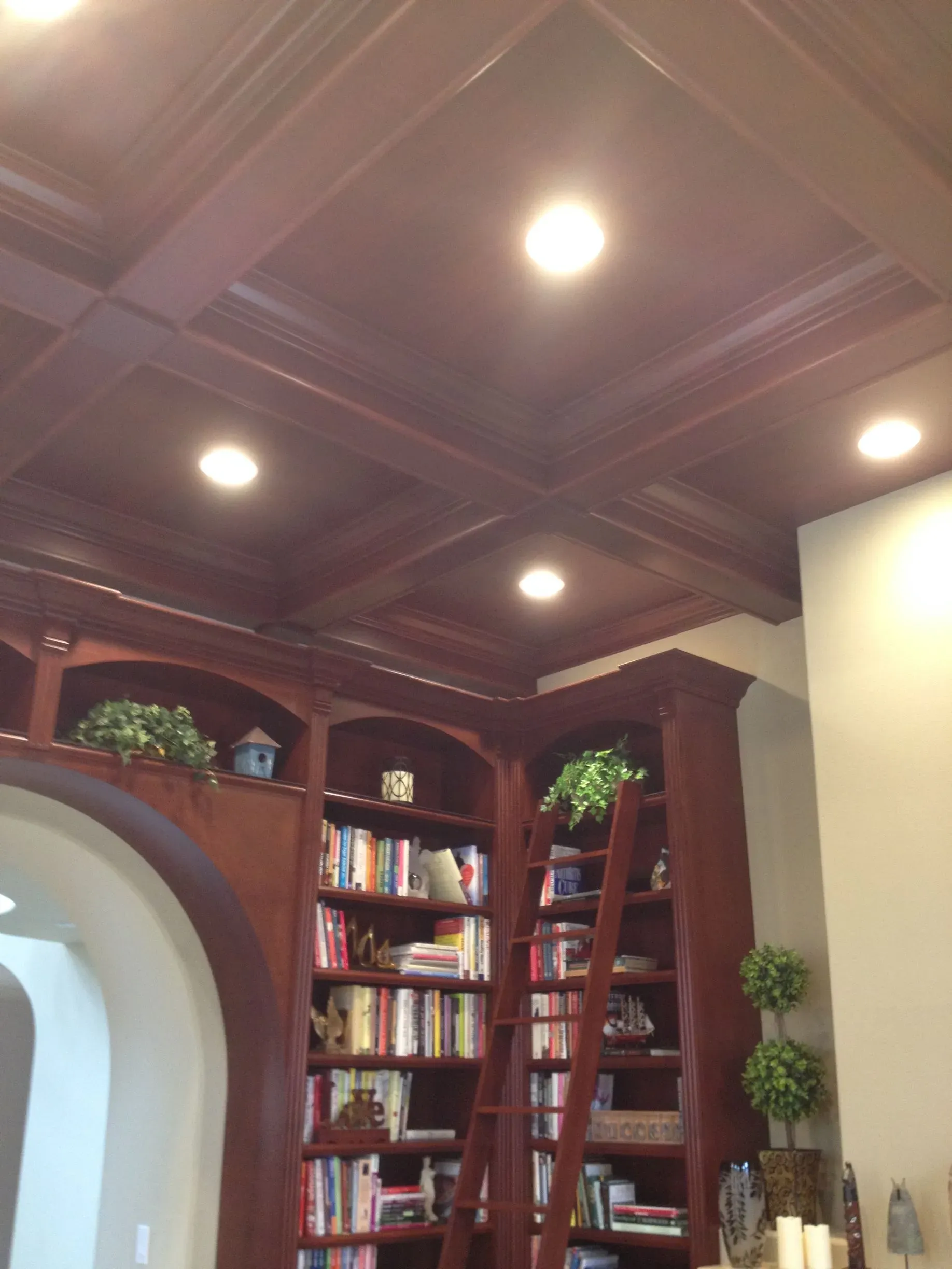 Wood-paneled library with bookshelves, a ladder, and recessed ceiling lights.