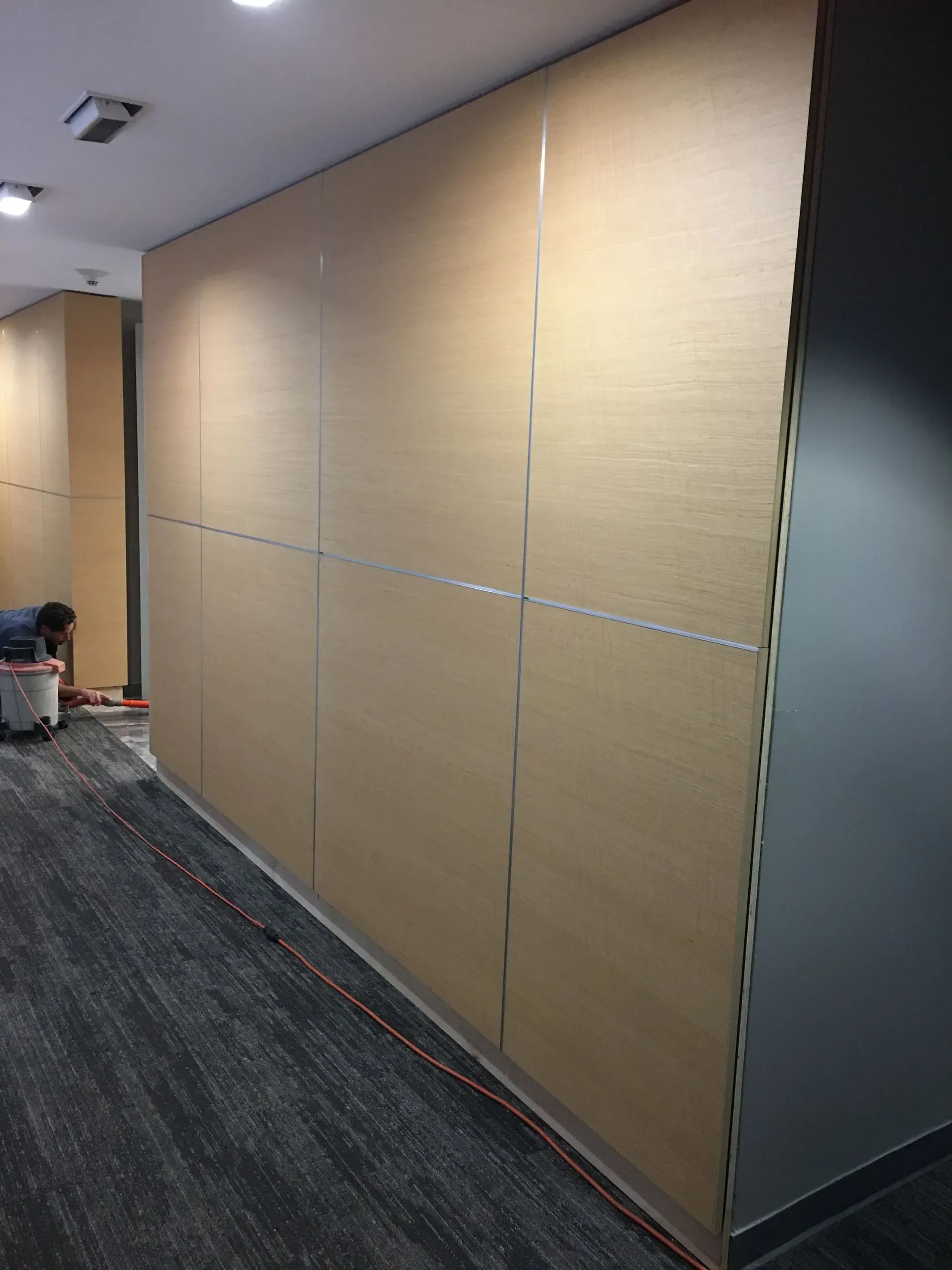 Office hallway with large beige wall panels and dark carpeted floor