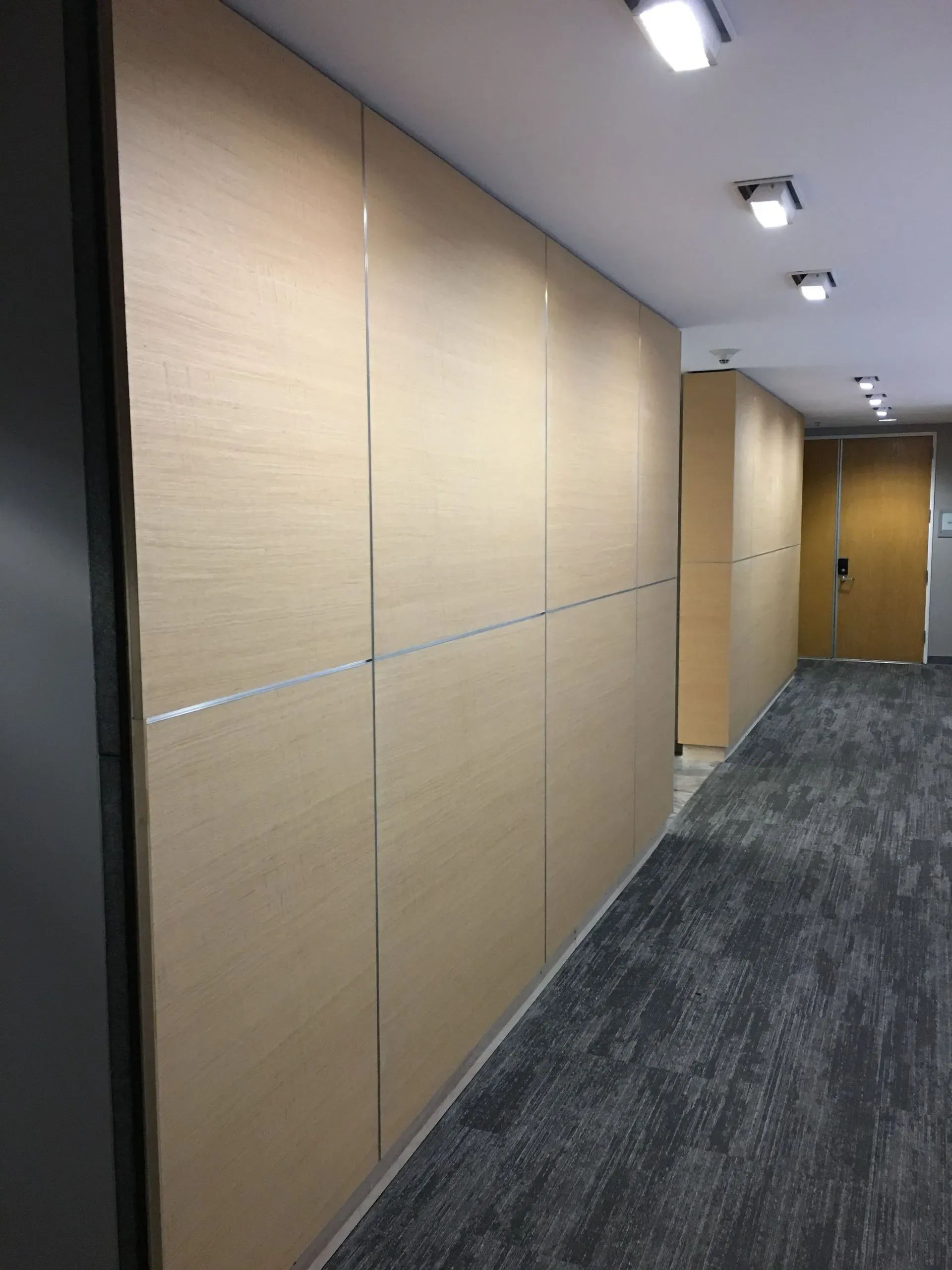 Empty office hallway with beige wall panels, gray carpet, and ceiling lights leading to a closed door.