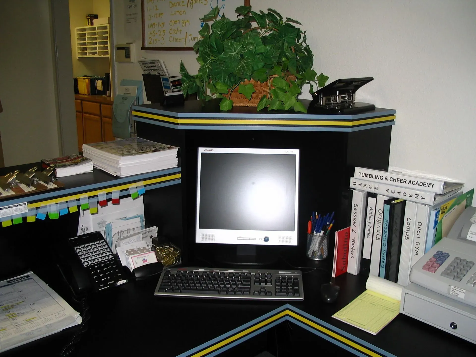 Office desk with computer monitor, phone, papers, and a large green plant behind it