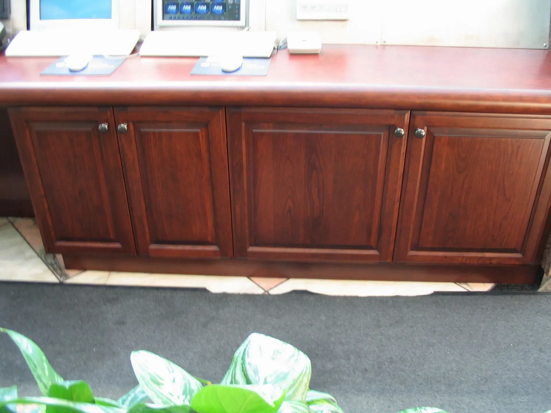 Dark wood cabinet under windows with a black rug and plant leaves in the foreground