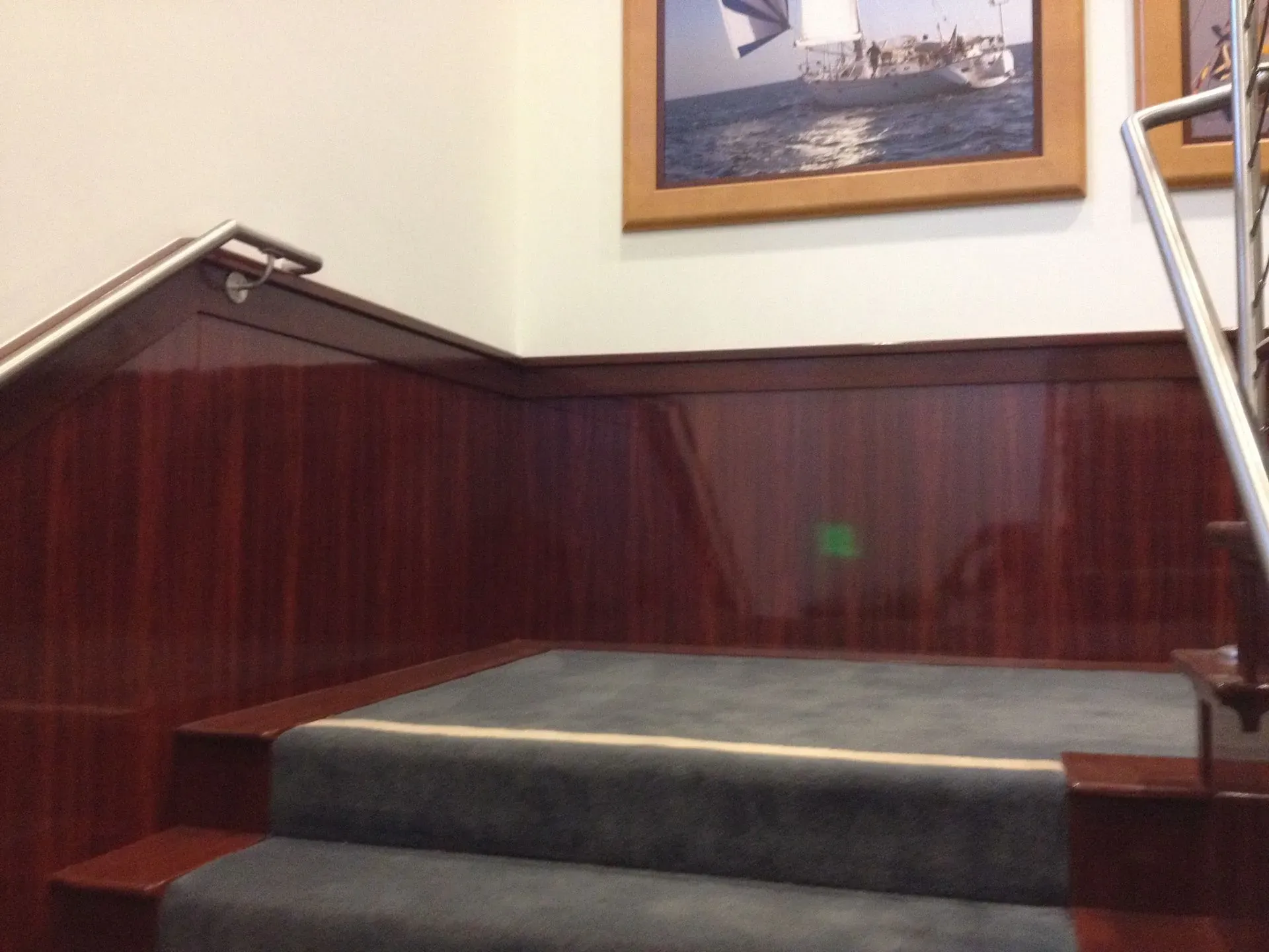 Carpeted steps with dark wood paneling and a framed picture on the wall