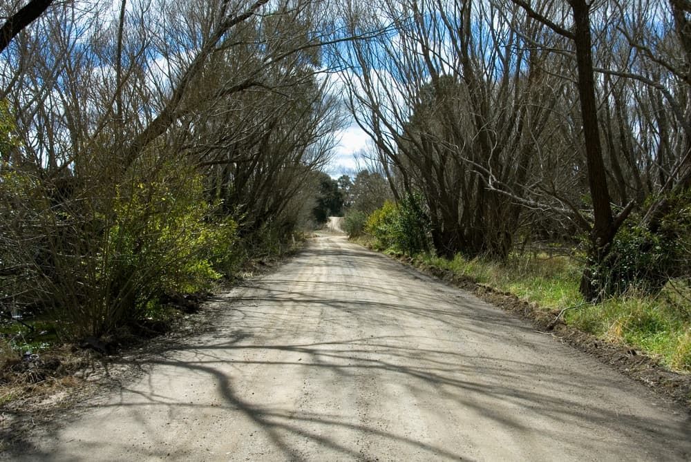 A Dirt Road Going Through a Forest With Trees on Both Sides — MJR Auto Glass In Moss Vale, NSW