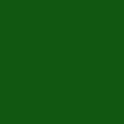 Solid dark green square.