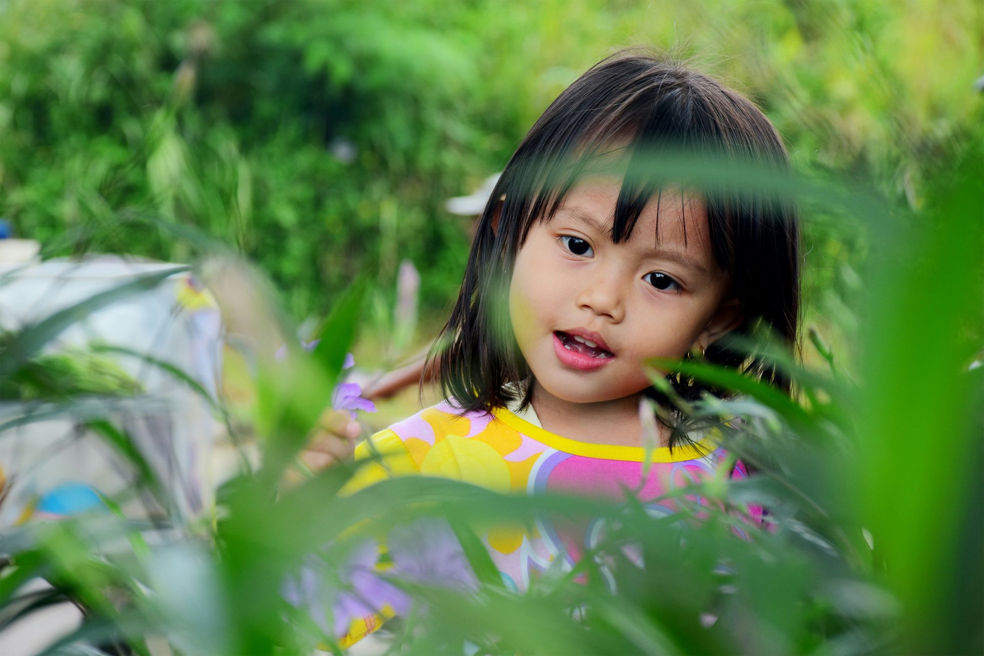 Child peeking through green foliage, wearing a yellow-striped shirt and looking toward the camera