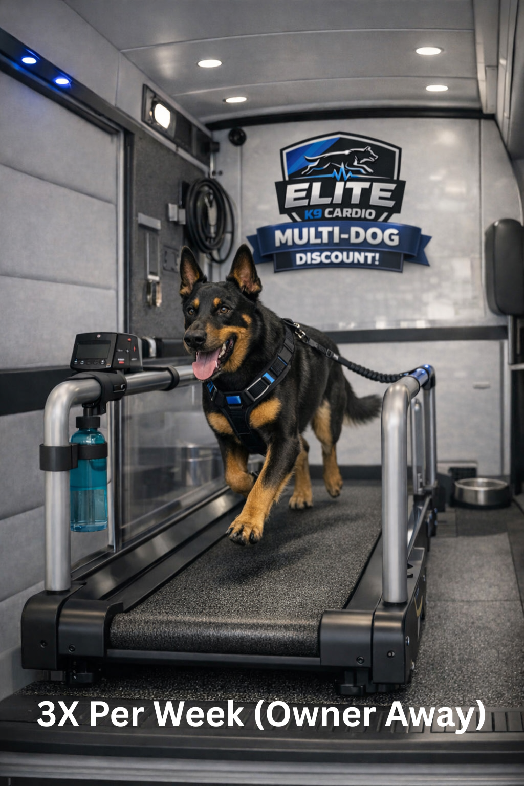 German shepherd on a treadmill in a dog training van, with “Elite Multi-Dog Discount” sign behind him.