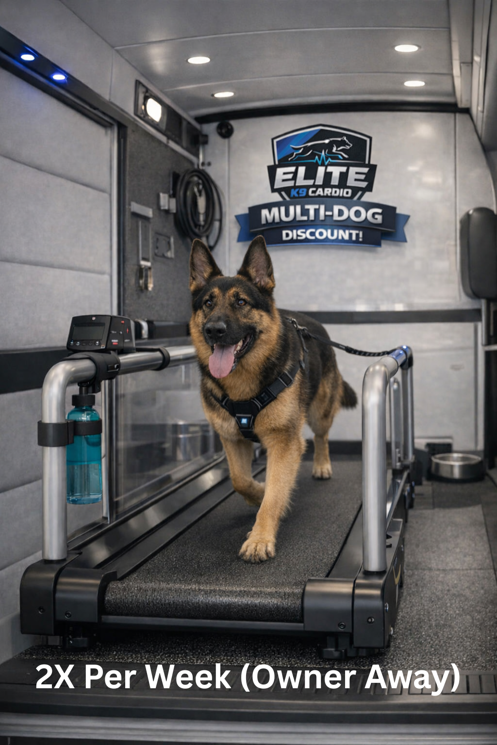 German shepherd walking on a treadmill in a mobile dog grooming van with an 