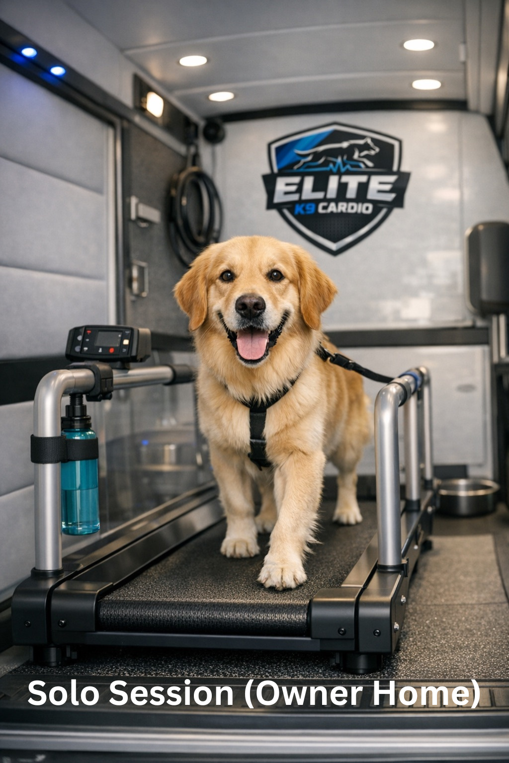 Golden retriever standing on a treadmill in a mobile dog gym, tongue out, with “Solo Session (Owner Home)” text.