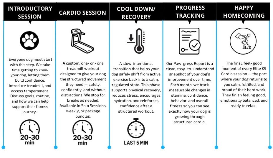 Blackand-white routine chart with icons for introductory session, cardio, cool-down, progress tracking, and happy homecoming.