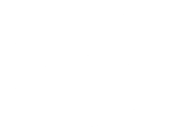 brakes icon