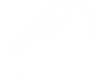 fuel system