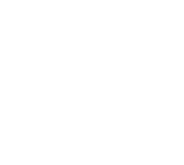battery icon