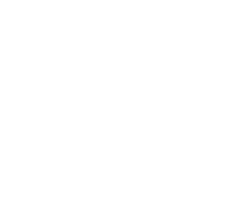 brakes icon