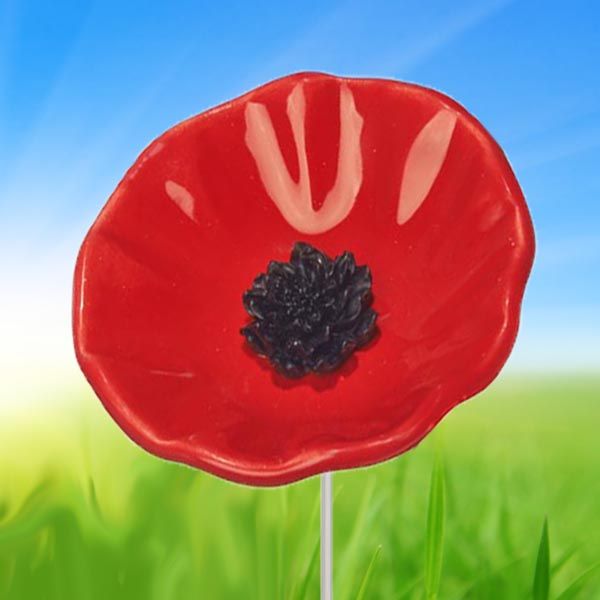 POPPY FLOWERS