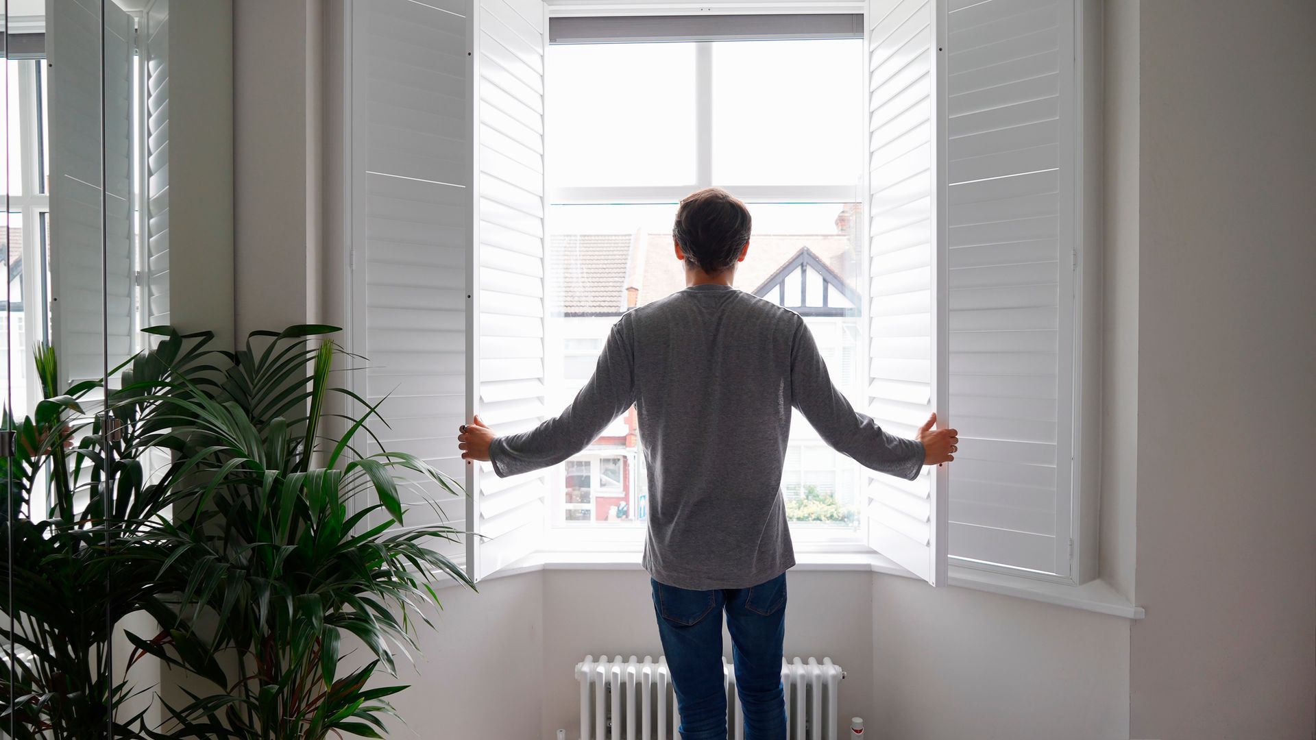 Person opening window shutters in a bright room with a plant.