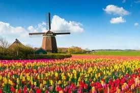 Sunset over Amsterdam canal with bicycles on a bridge decorated with vibrant flowers.