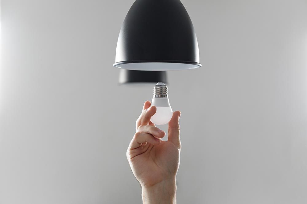 A person is holding a light bulb in their hand.