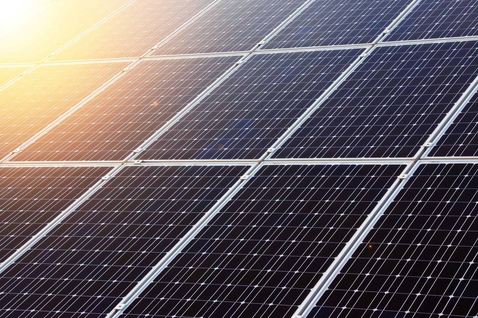 Eine frisch gereinigte Solaranlage im Sonnenlicht