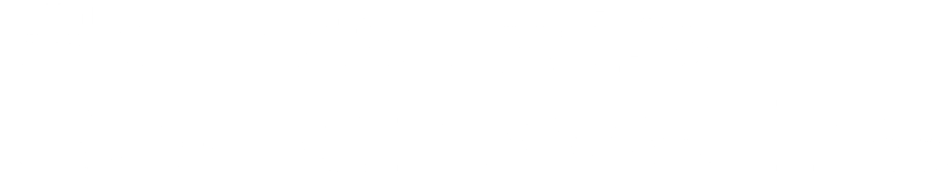 Logo pour l'association Solvalais-BodenWallis