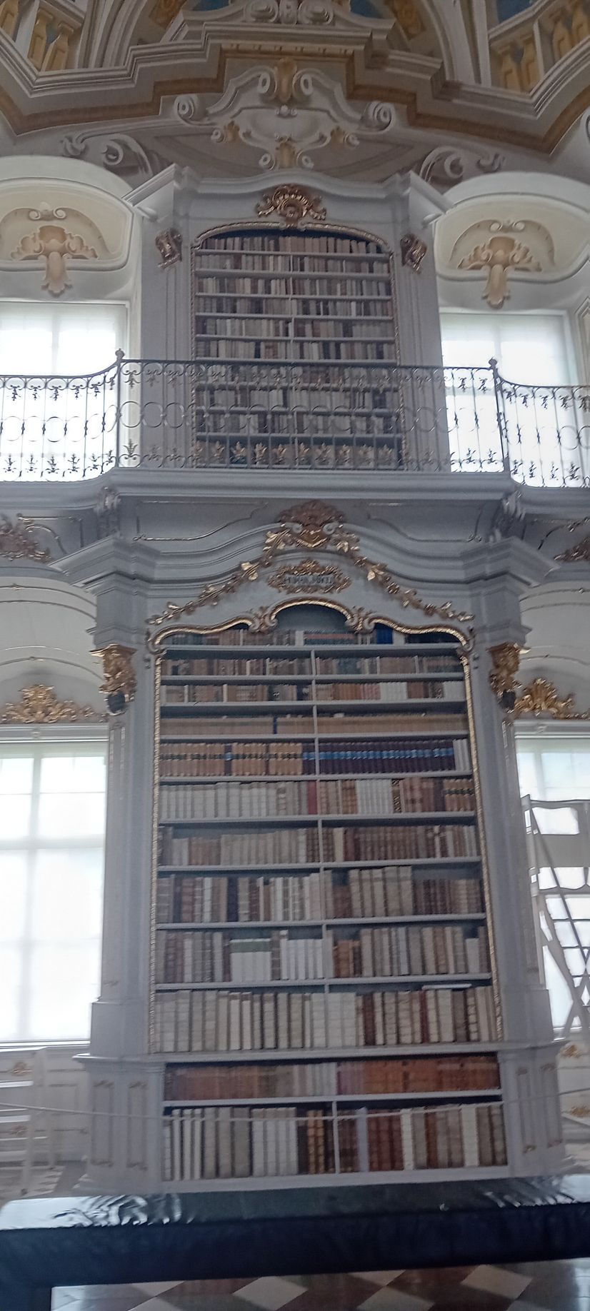 De hautes bibliothèques dans un intérieur de bibliothèque orné d'arches et de fenêtres décoratives.
