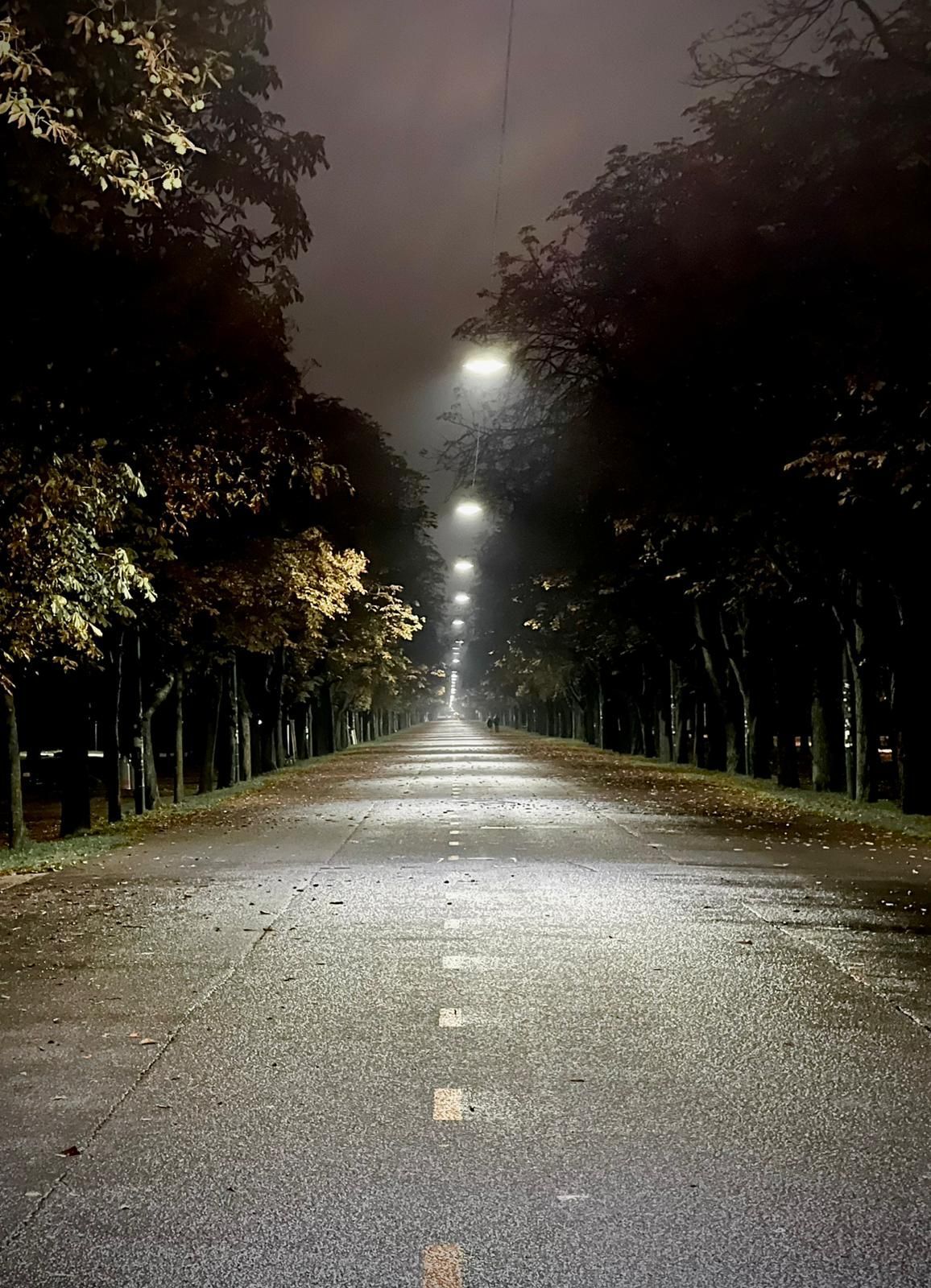 Route déserte et humide, bordée d'arbres la nuit, éclairée par une rangée de lampadaires dans le brouillard.