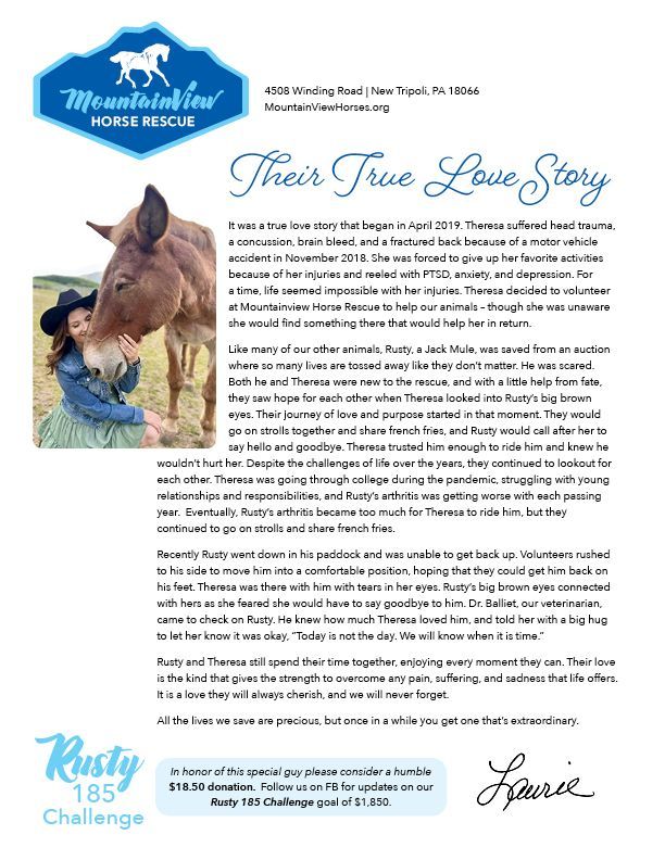 Touching stories and newsletter updates from the Mountain View Horse Rescue in New Tripoli, PA