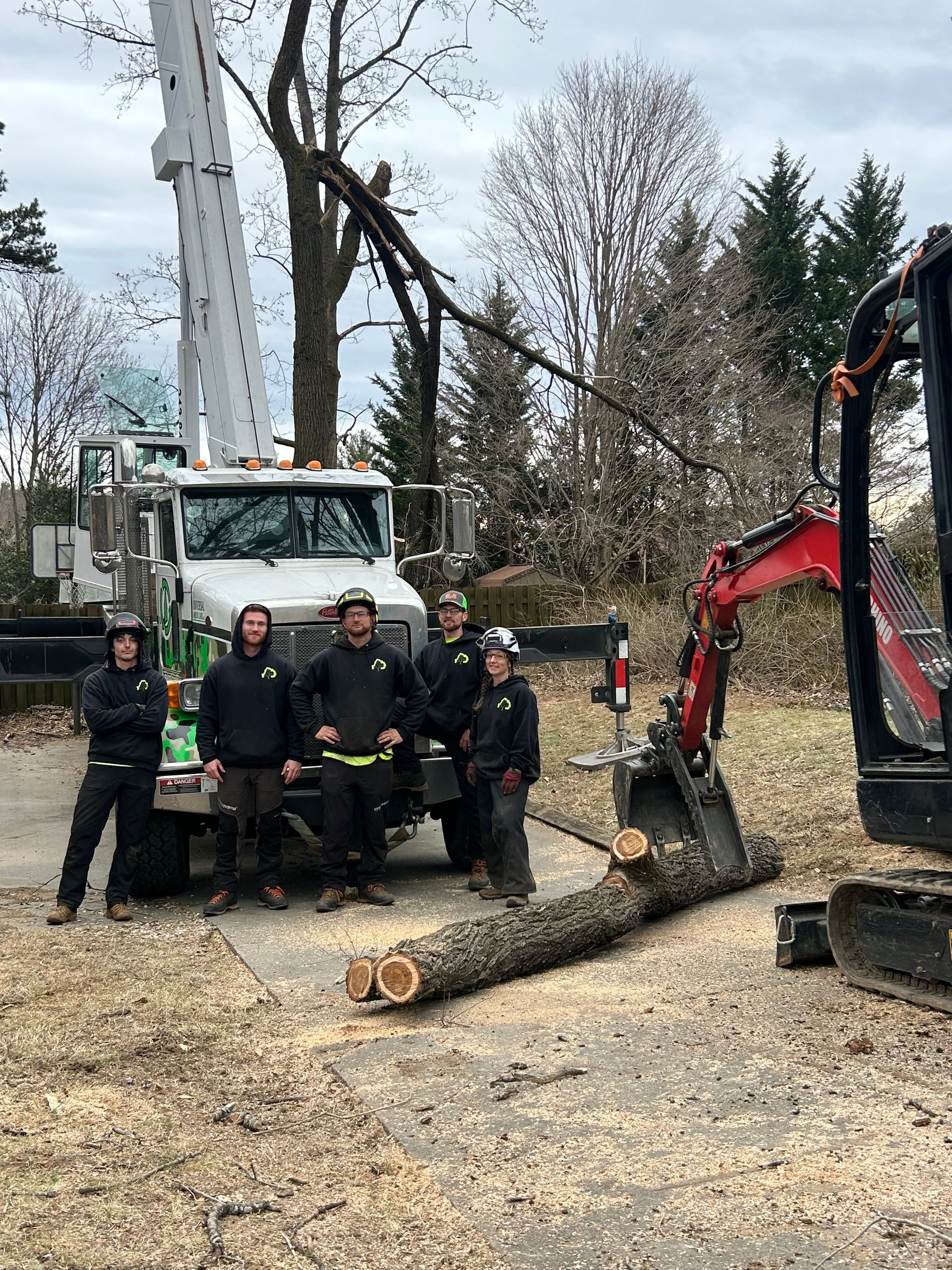 emergency tree service asheville