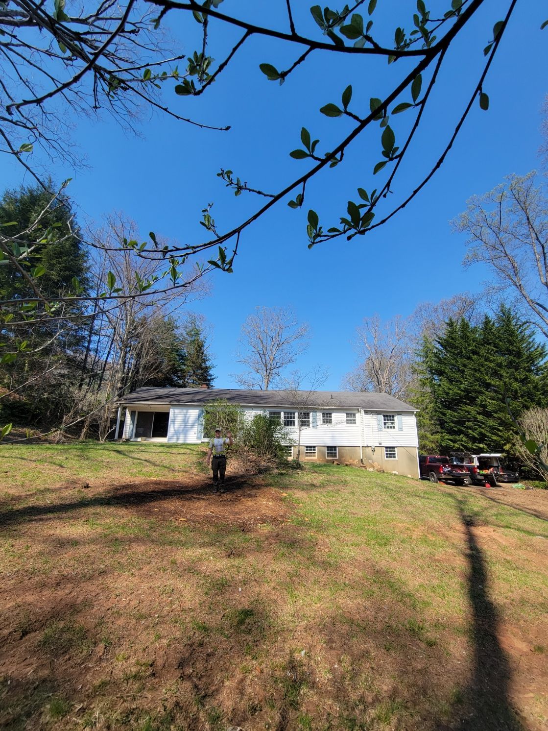asheville land clearing after