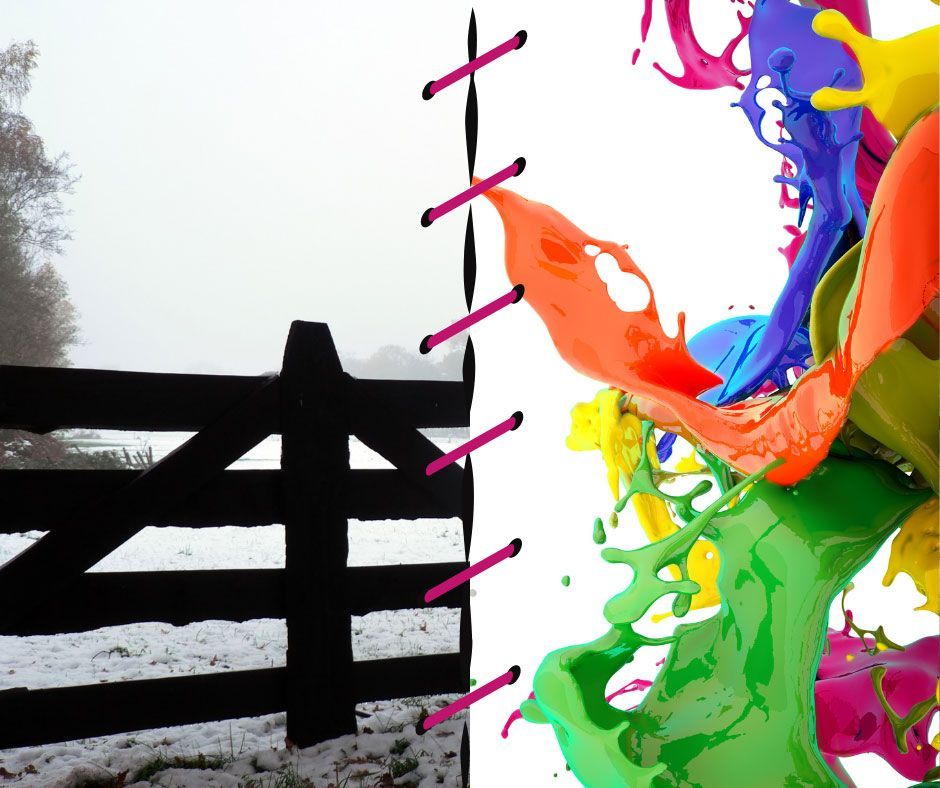 A Picture of a Fence and a Splash of Paint — Living Well Psychology Clinic in Erina, NSW