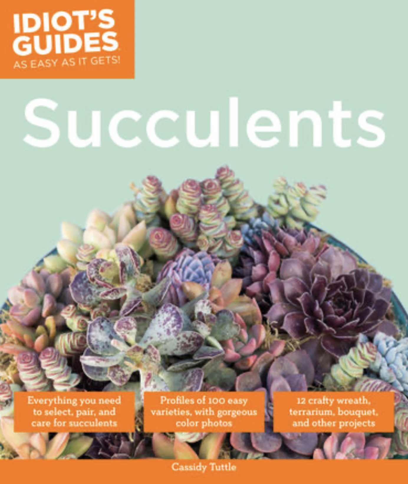 Cassidy'y Blog made her first book, the Idiots's Guide to Succulents, possible with the Idiot's Guide. Cassidy Tittle - Idiot'S Guide Book on Succulents - Blogging Coach