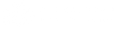 Mostly white image with a narrow black horizontal band across the middle.