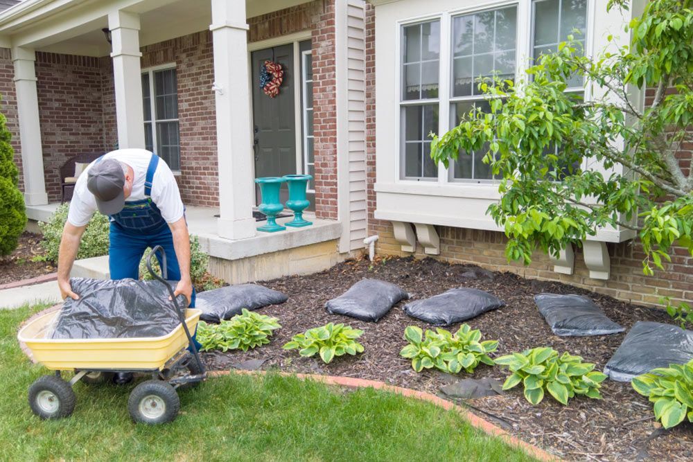Man dropping sand bags in the lawn — Handyman in Kiama, NSW