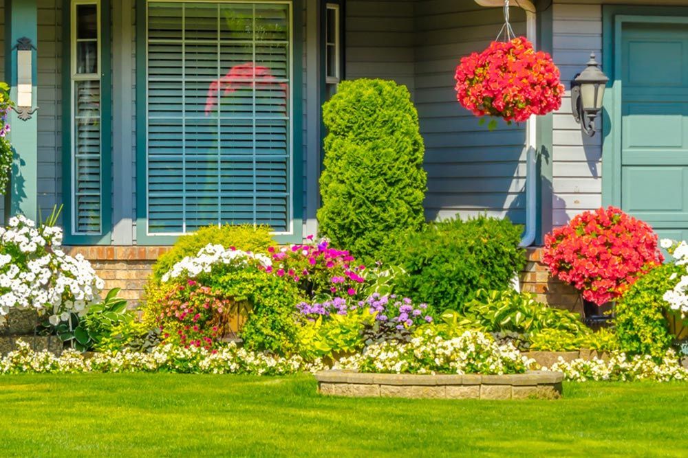 Garden with plants and grass — Handyman in Huskisson, NSW
