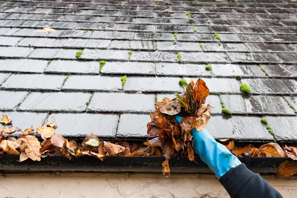 Cleaning of gutter full of leaves — Handyman in Kiama, NSW