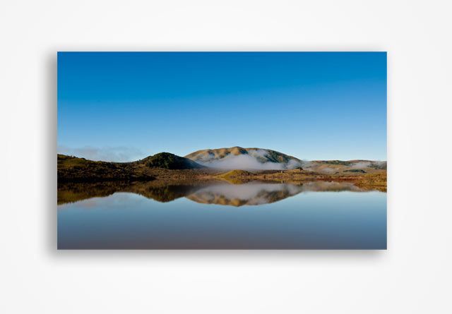 photo print of landscape