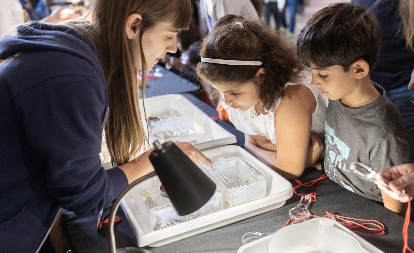 Photo of Elizabeth Cash showing ants at the Bay Area Science Festival.